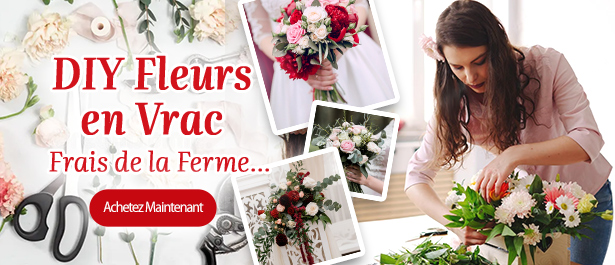 DIY-Bulk-Flowers-615x265-FR-02.jpg