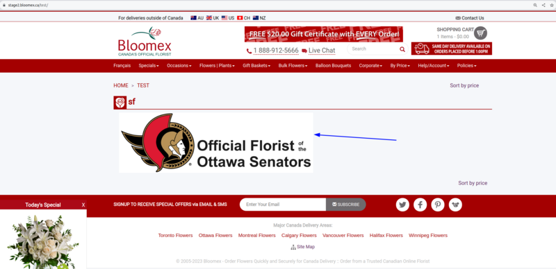 Ottawa Senators Stage.png