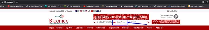 1. Live Chat.jpg