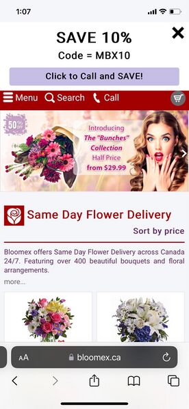 File:Please fix the drop-down button for mobile. FRONT END ONLY! 1.jpg