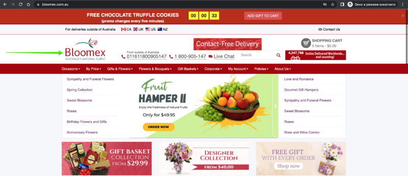 Logo on homepage AU.png