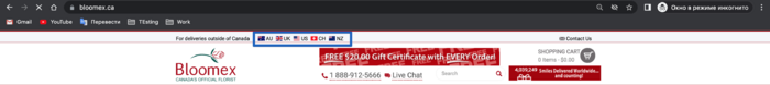 Websiteothercountriesicon.png