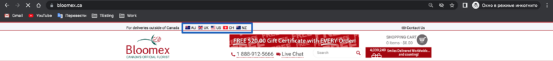 Websiteothercountriesicon.png