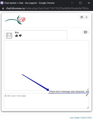 1 Message Please enter a message, maximum characters - 500.jpg