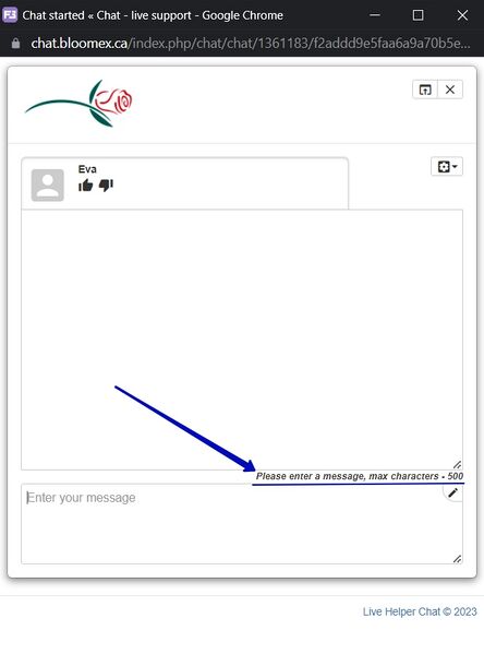 File:1 Message Please enter a message, maximum characters - 500.jpg