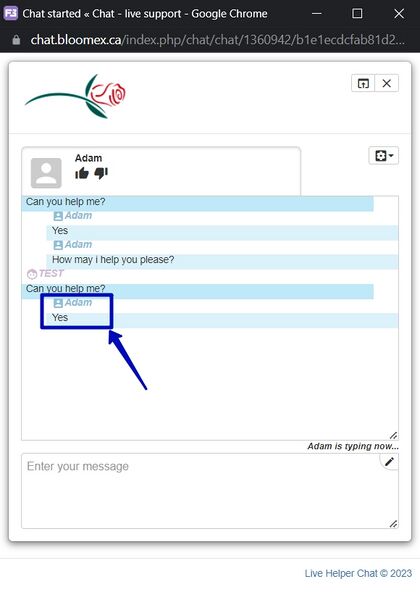 File:3. Reply received in chat 69.jpg