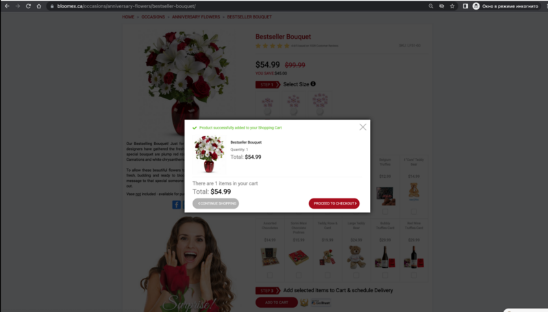 Cart modal inner.png