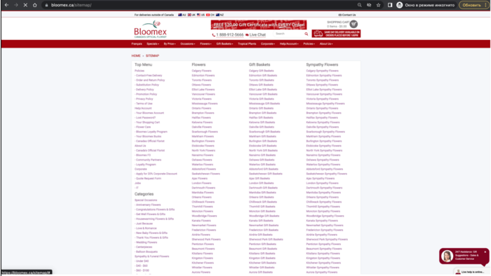 The sitemap is opened.png