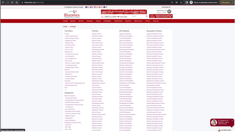 The sitemap is opened.png
