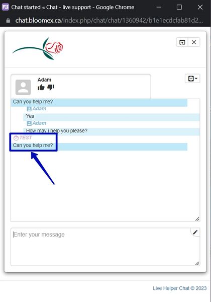 File:2. Message sent in chat 69.jpg