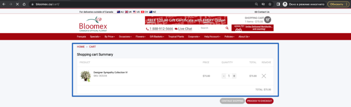 The cart page with the selected product is opened 1.png