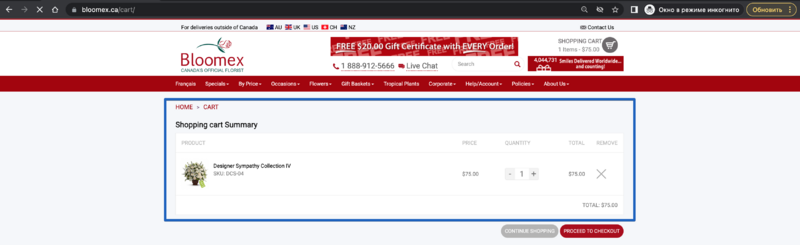 The cart page with the selected product is opened 1.png