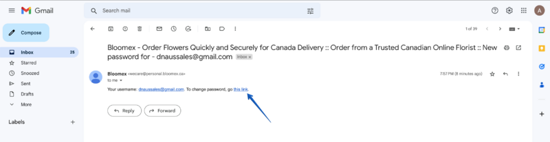 2. The Link to reset your password has been sent to your e-mail 1.png