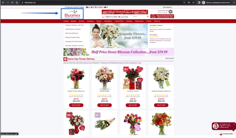 Logo on homepage.png