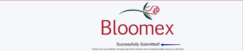 3. The message Successfully Submitted!.jpg