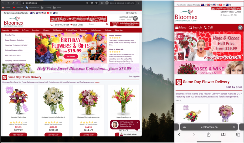 The website on different devices.png