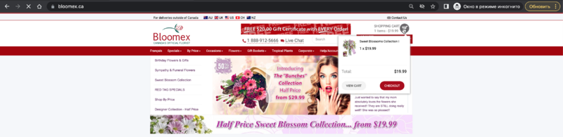 Check mini-cart displaying.png