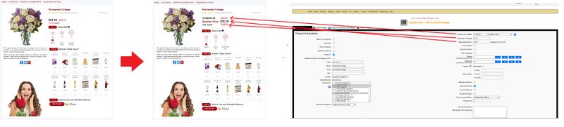 Modify Product price display on product pages.jpg