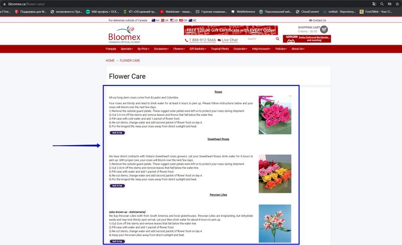 The page with information about Flower care has content and is displayed correctly.jpg