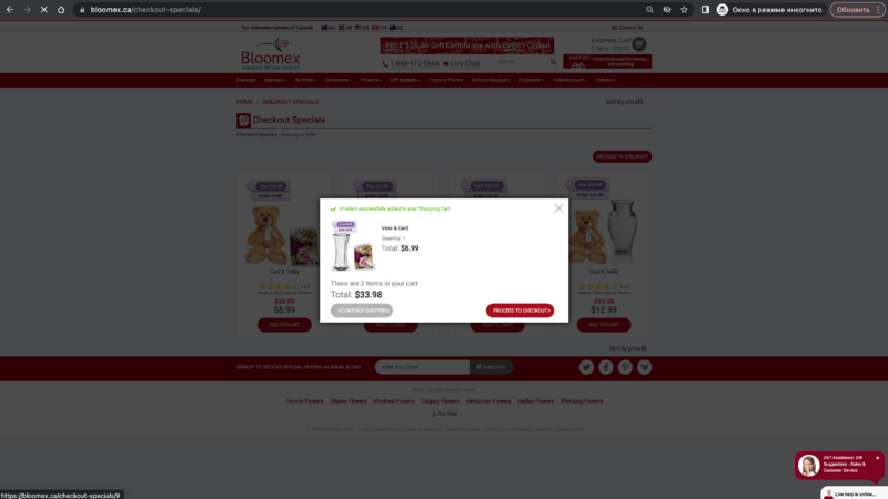 The "cart modal inner" is opened with a specials product.png